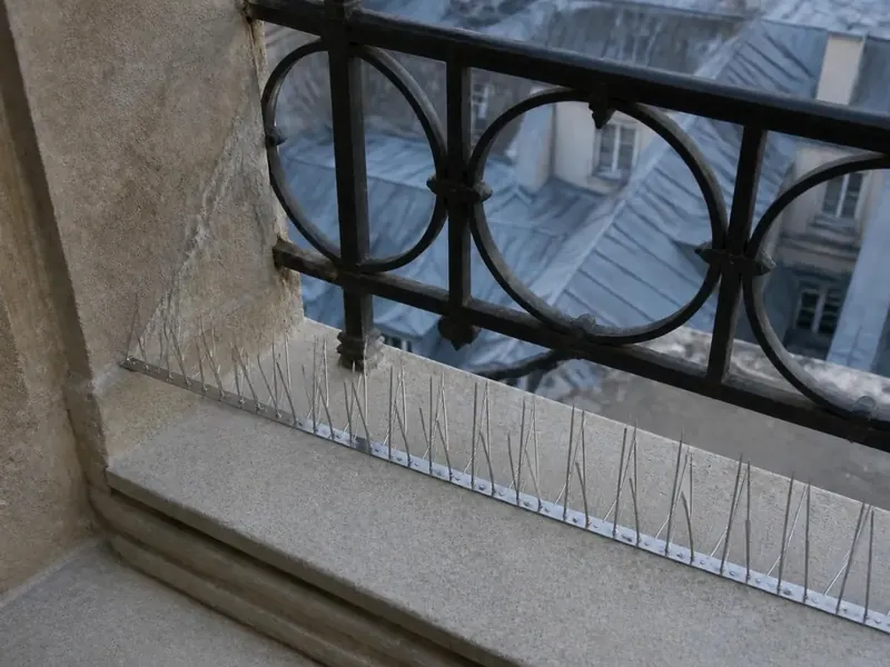 Après : rebord nettoyé et pics anti-pigeons en inox posés sur toute la longueur